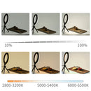 Ring Light com Tripé em LED